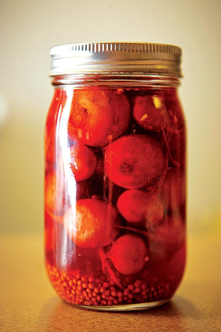 Pickled Radishes