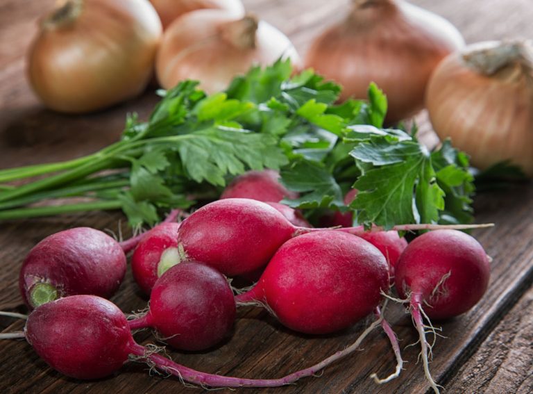 Spring Radish Salad