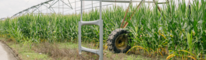 Meet our farmers