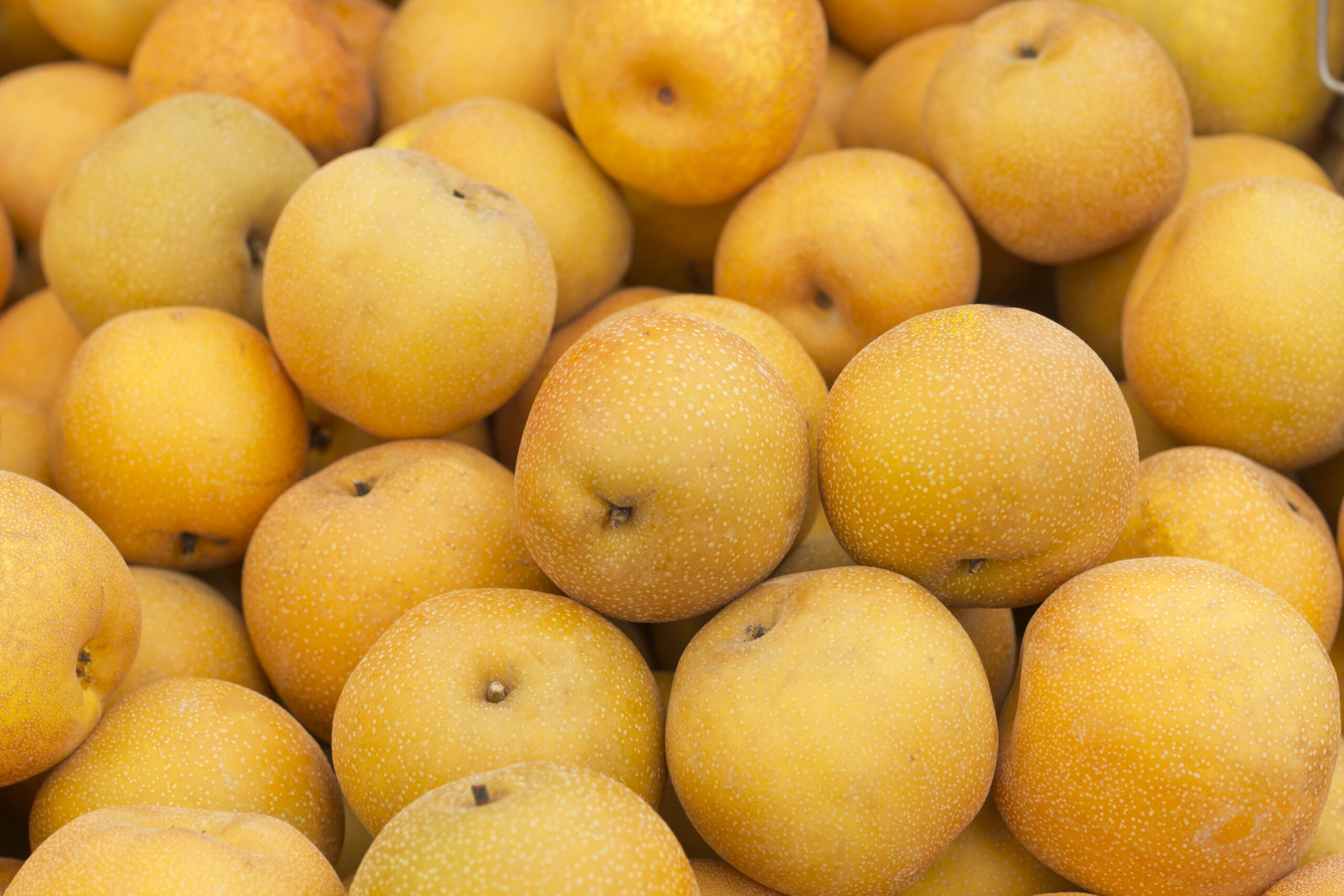 Asian Pears