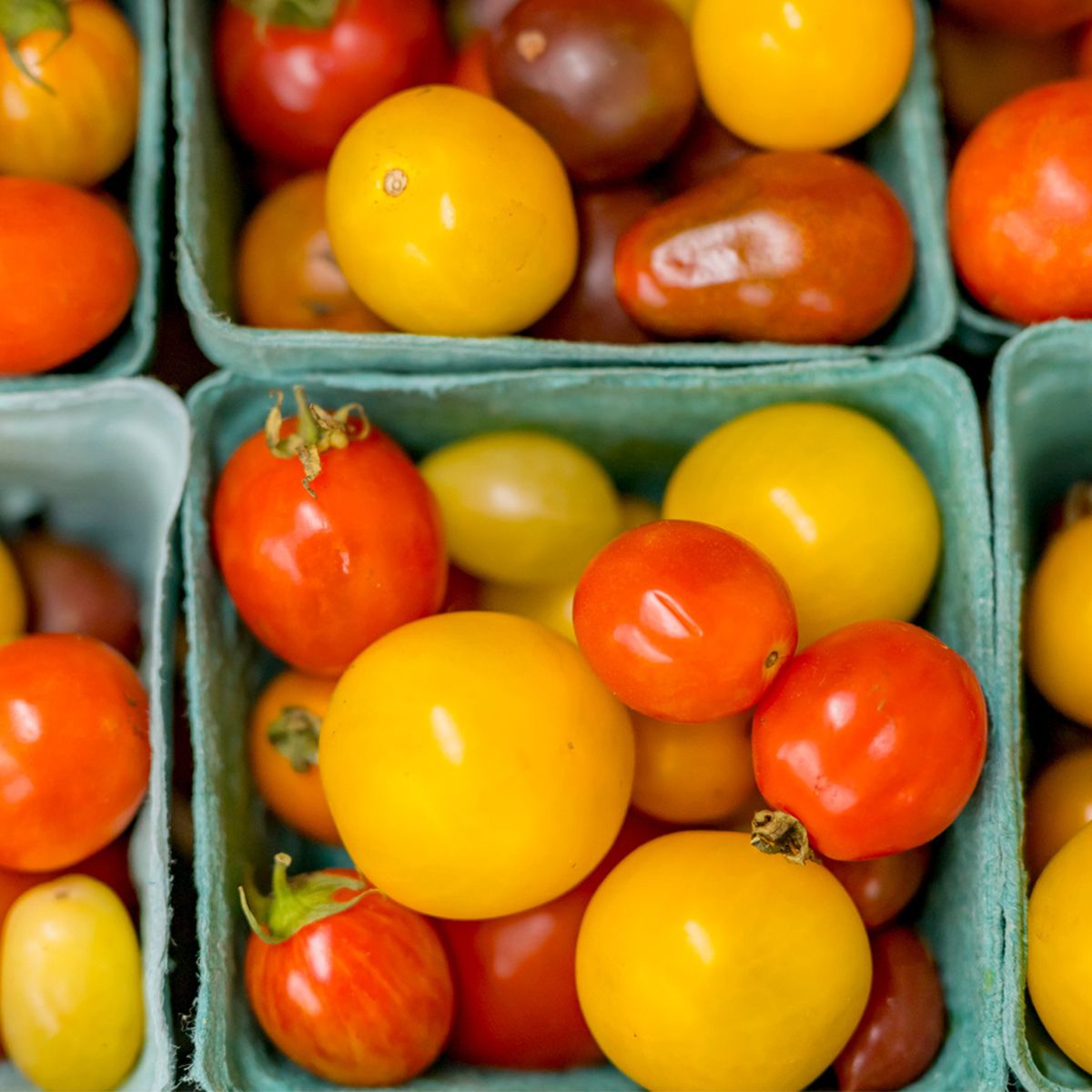 Tomatoes