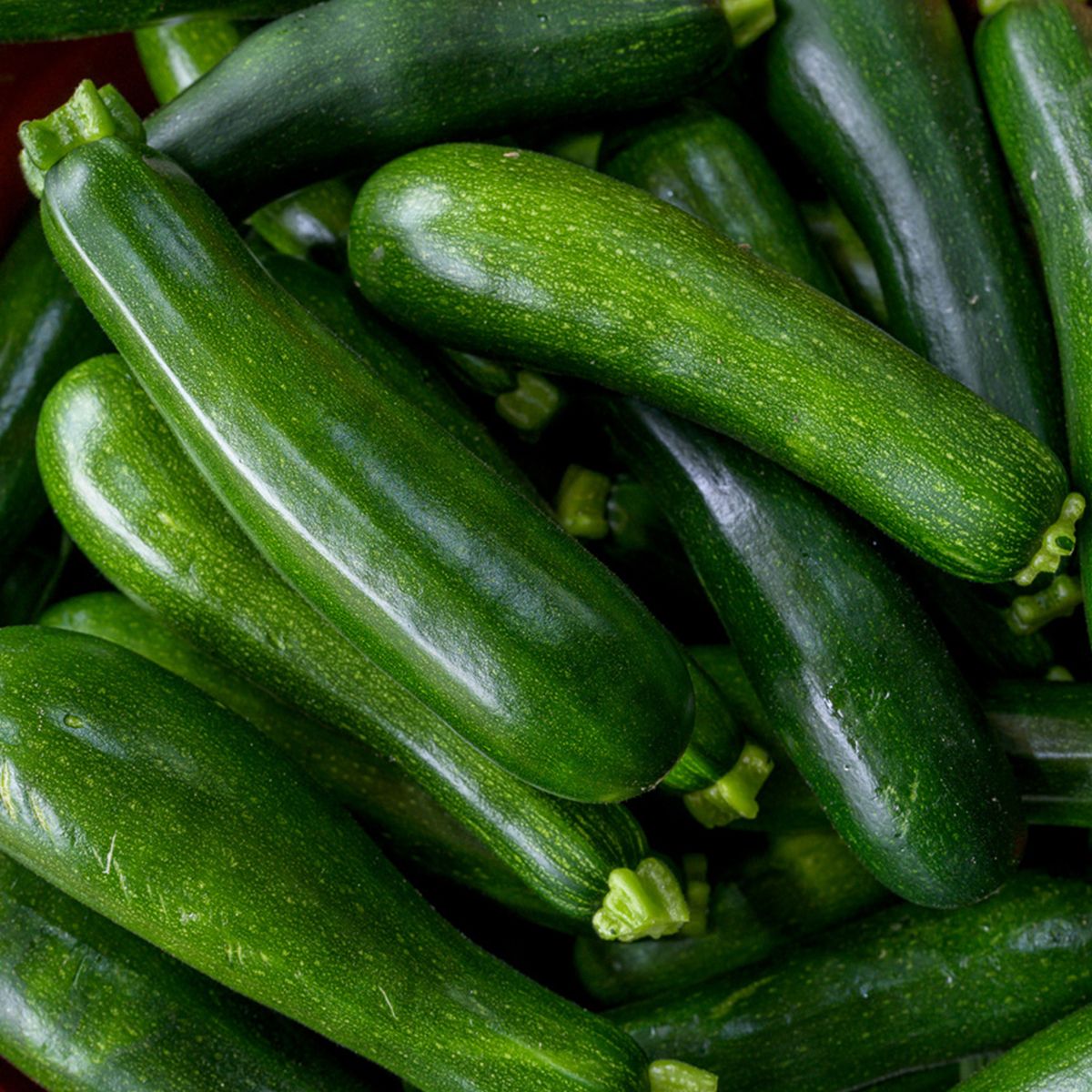 Zucchini Squash