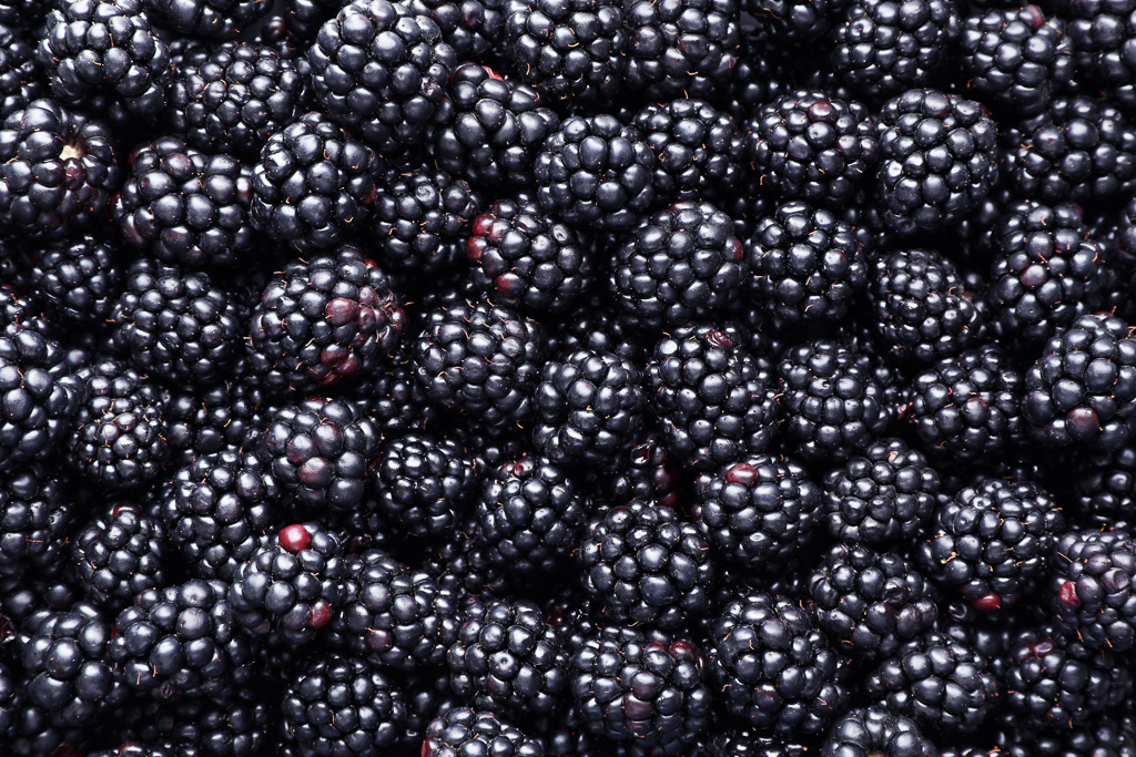 Blackberries