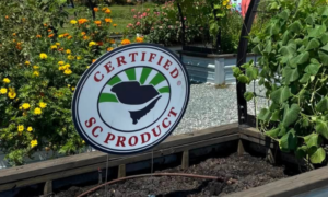Certified SC Product Corrugated Sign