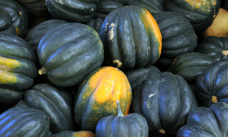 Winter Squash
