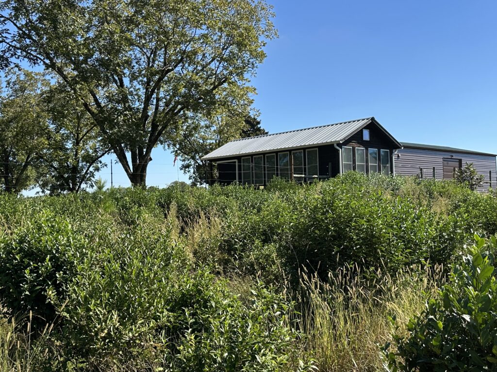 Clemson Tea Farm